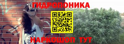 ГАЛЛЮЦИНОГЕННЫЕ ГРИБЫ Усть-Илимск