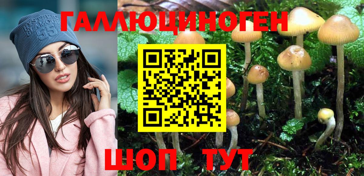 Галлюциногенные грибы Psilocybine cubensis Новый Уренгой