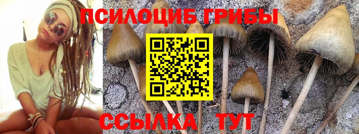 MDMA Новый Уренгой